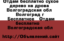 Отдам бесплатно сухое дерево на дрова - Волгоградская обл., Волгоград г. Бесплатное » Отдам бесплатно   . Волгоградская обл.